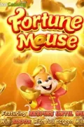 Fortune Mousse en MXCASH COM